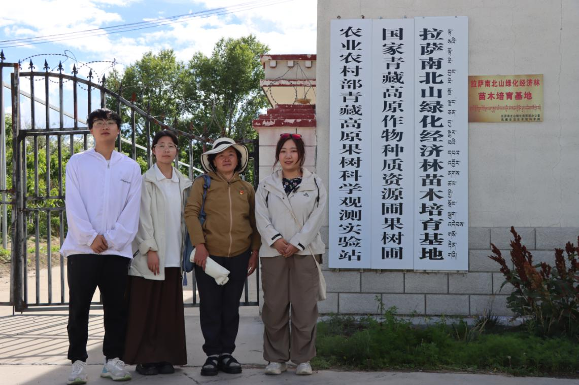 图片11.png