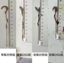 图片64.png