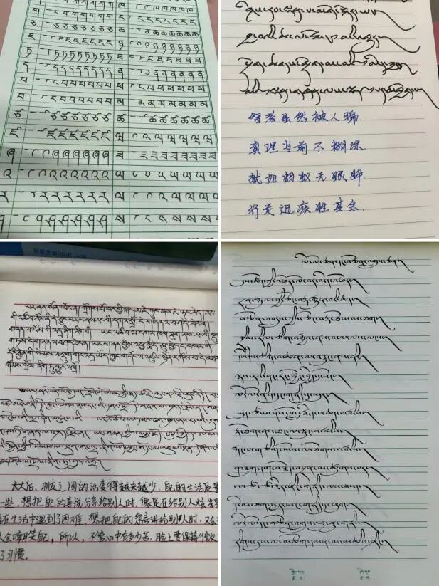 微信图片_2025-11-23_154305_003.jpg